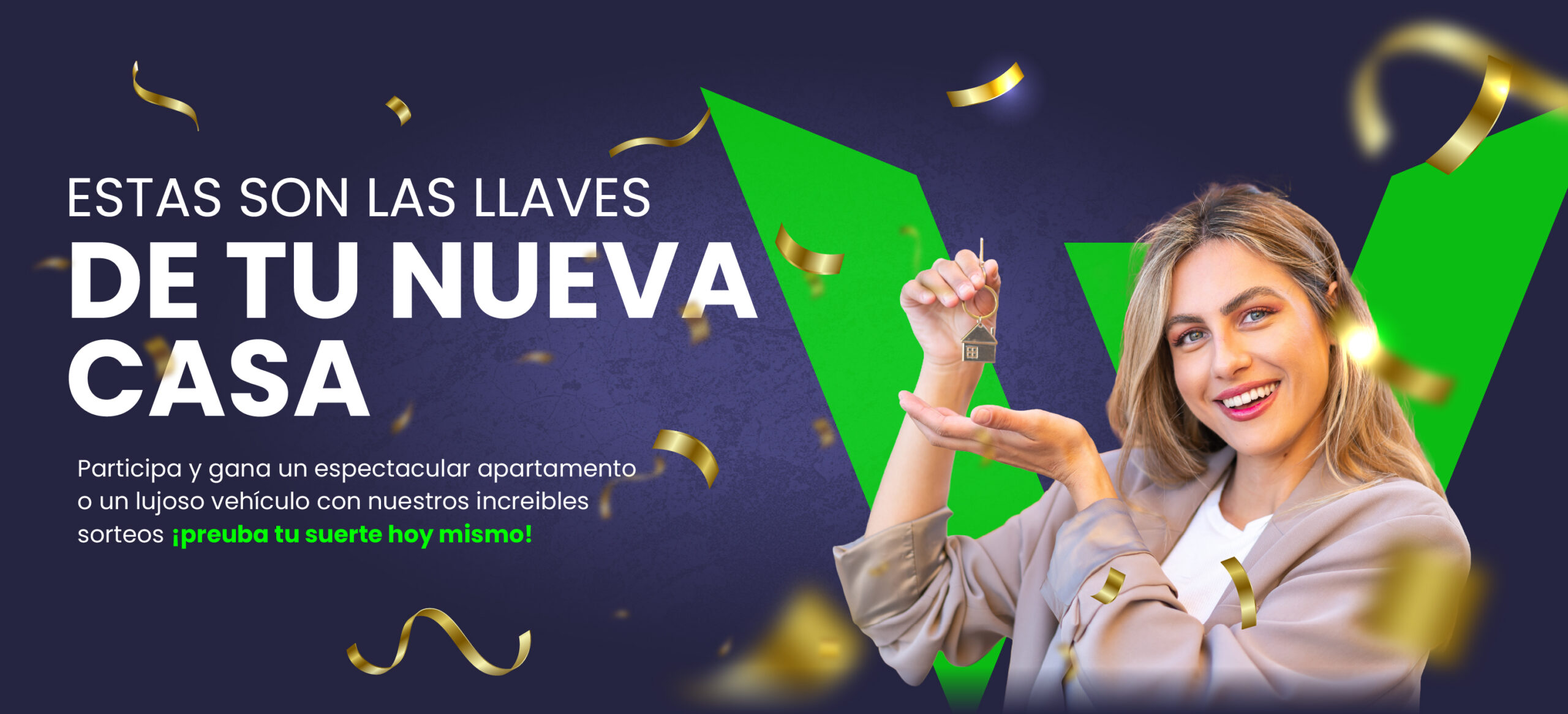 banner principal web2